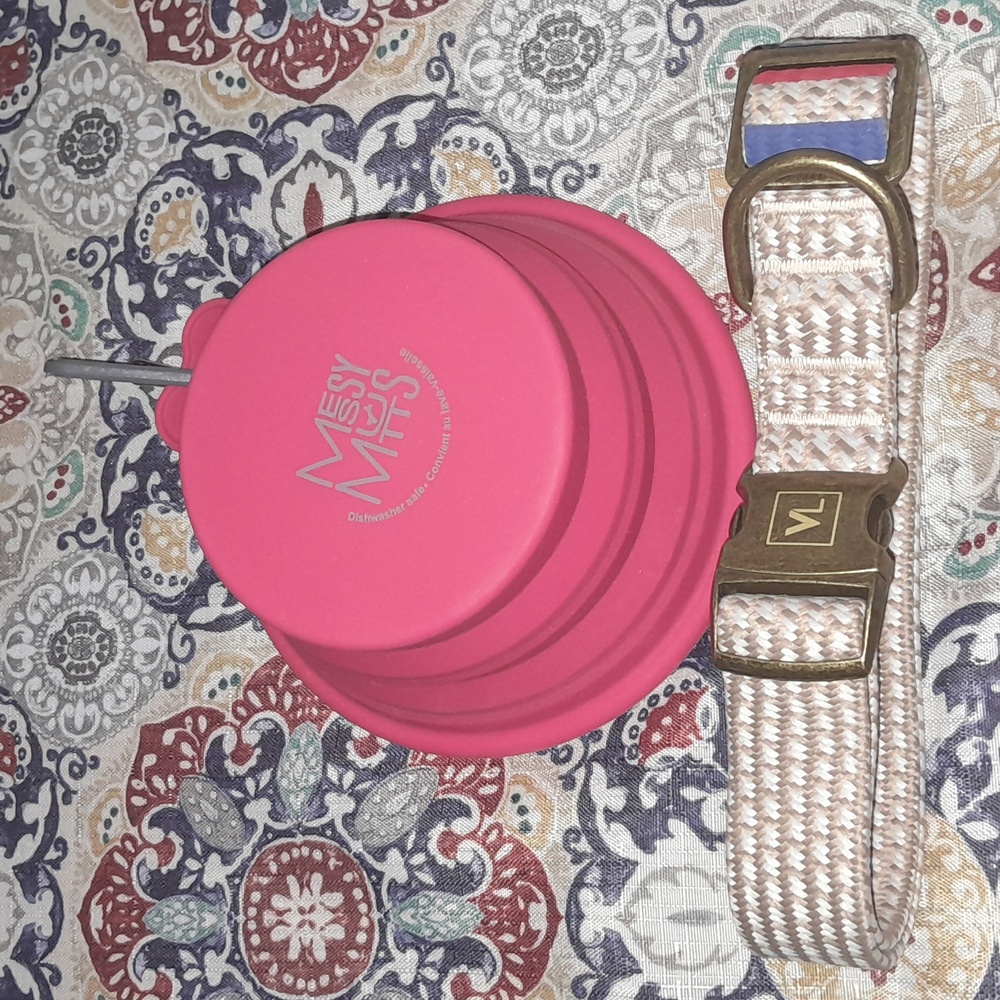 Vibrant Life Dog Collar XL and Messy Mutts Travel Bowl - Picture 1 of 6